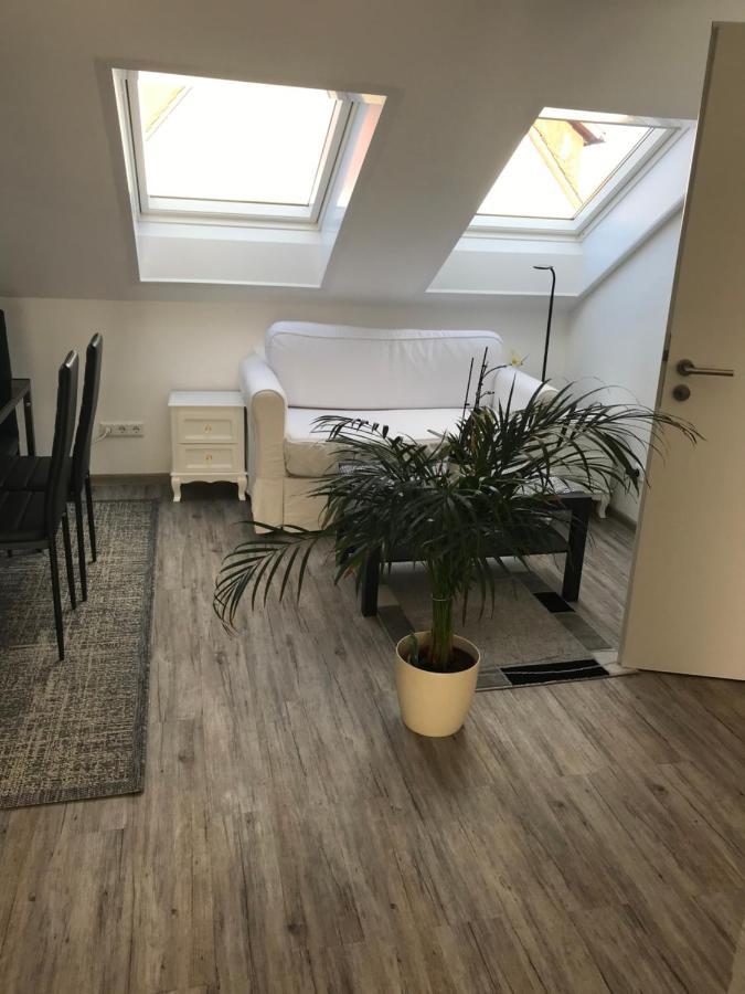Jeannette Apartment Balingen Bagian luar foto